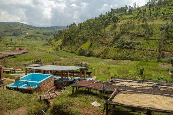 Comment utiliser votre smartphone pour faciliter le recyclage à la maison ?