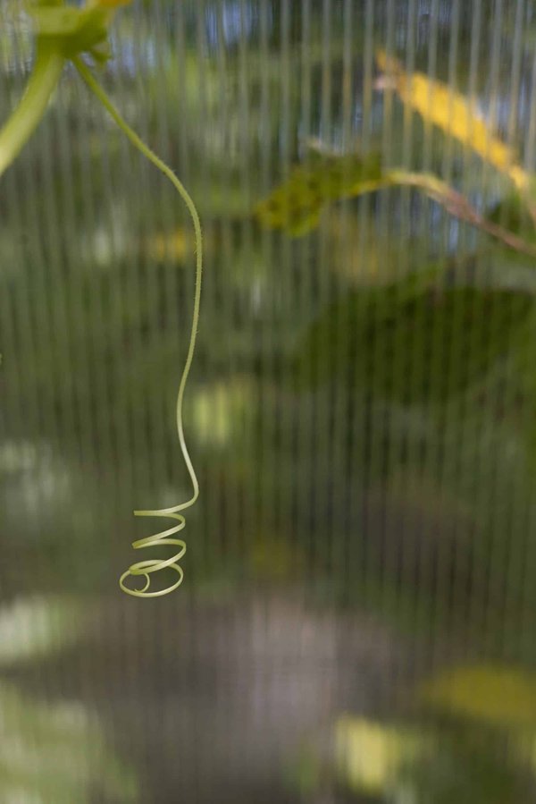 Comment configurer un smartphone pour une personne malvoyante ?