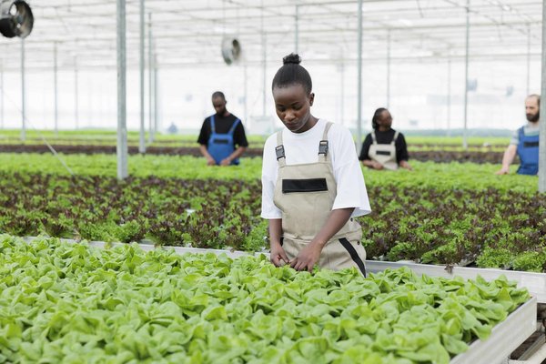 Quelle est la méthode pour prolonger la durée de vie de votre câble de chargement de téléphone ?